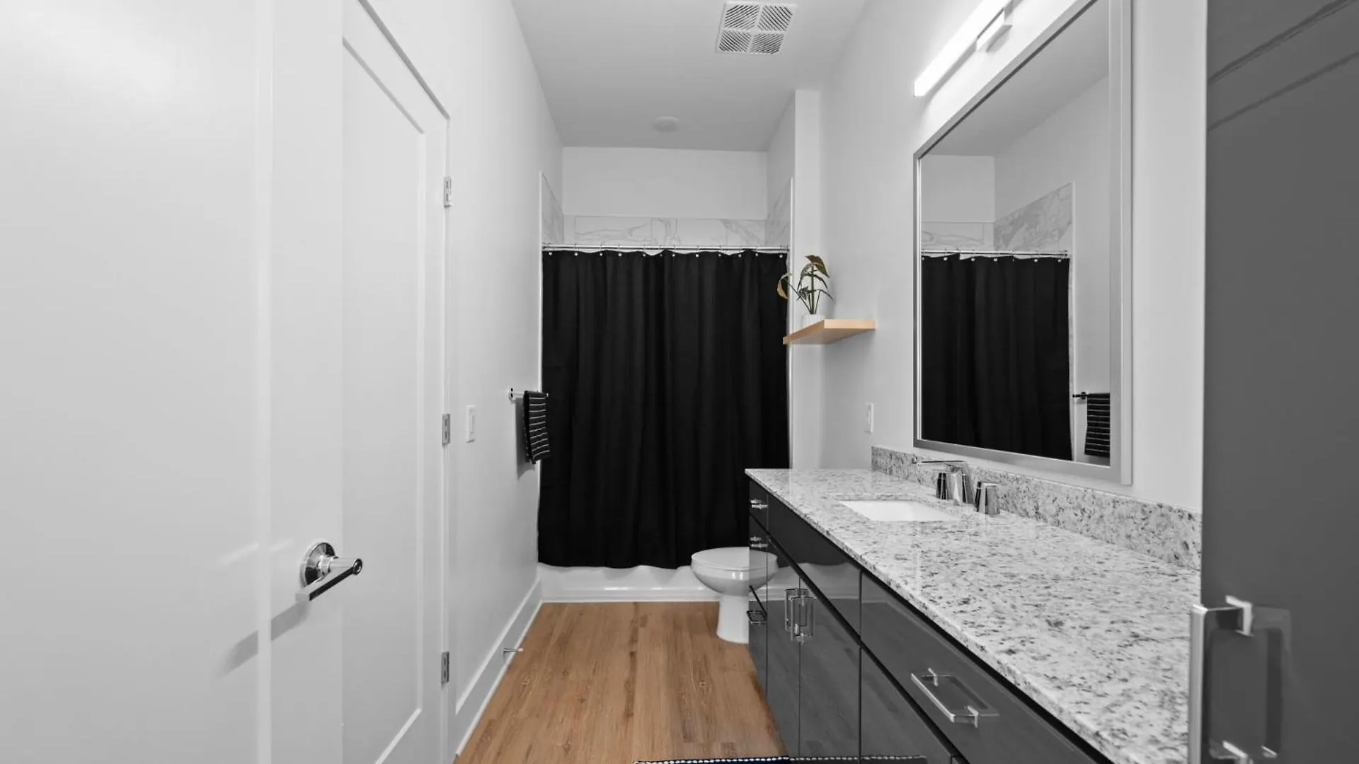 Loso Apartments In Charlotte